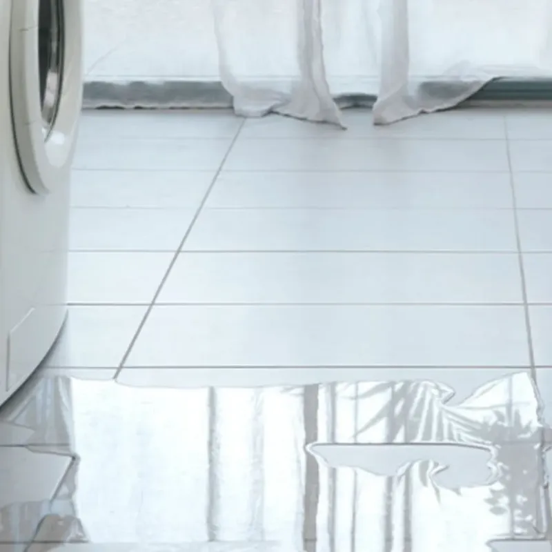 Appliance Leak Cleanup in Windsor, MO