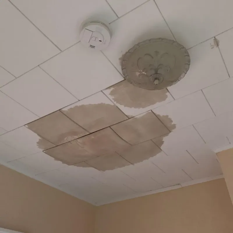 Ceiling Water Damage Repair in Windsor, MO