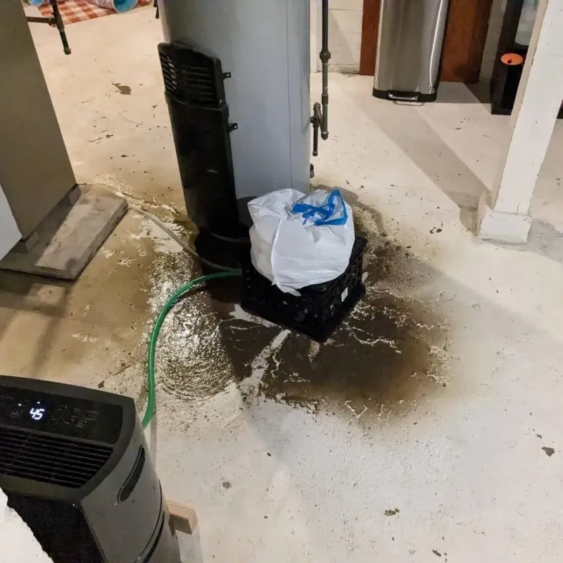 Sewage Backup Cleanup Service in Windsor, MO